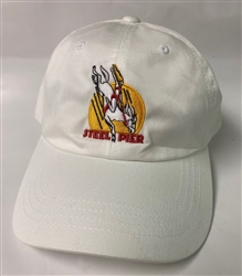 Vintage Atlantic City Steel Pier Diving Horse Hat  from www.retrophilly.com